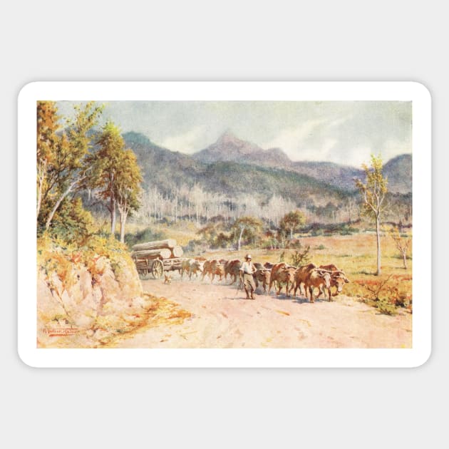 Timber hauling Mount Warning circa 1915 Sticker by artfromthepast